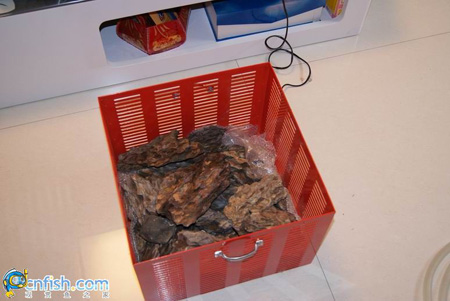 һ��ʯ���׿��׼�¼