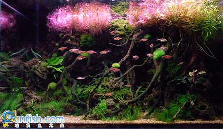 �������쾰��ʦ������֮�� 3