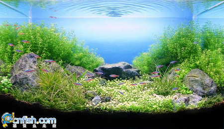 �������쾰��ʦ������֮�� 3