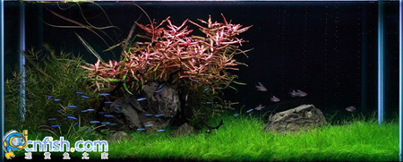 �������쾰��ʦ������֮�� 3