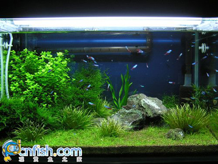 �������쾰��ʦ������֮�� 3