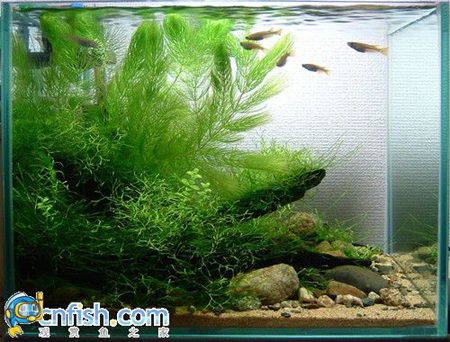 �������쾰��ʦ������֮�� 4