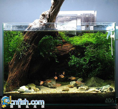 �������쾰��ʦ������֮�� 4