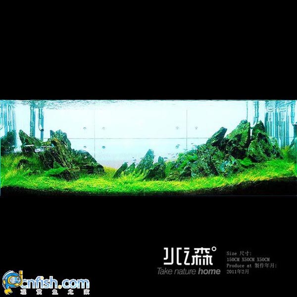 ˮ֮ɭˮ���ռ����