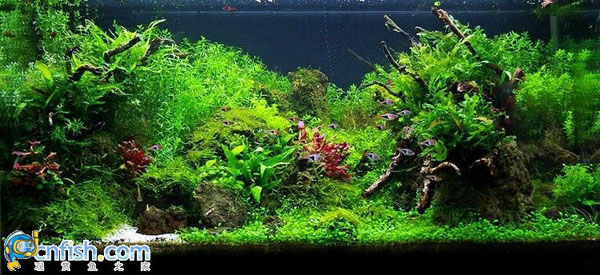 �������쾰��ʦ������֮�� 5