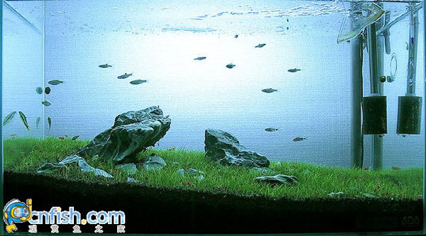 �������쾰��ʦ������֮�� 5