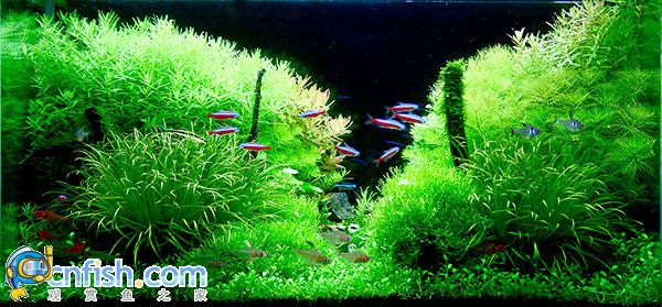 �������쾰��ʦ������֮�� 5