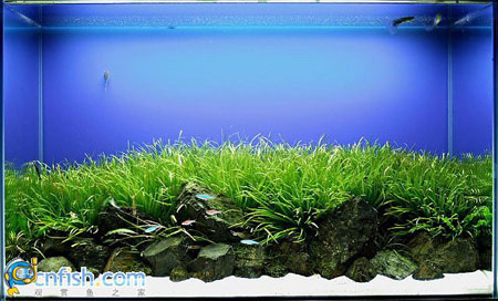 �������쾰��ʦ������֮�� 6