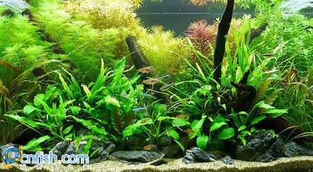 �������쾰��ʦ������֮�� 6