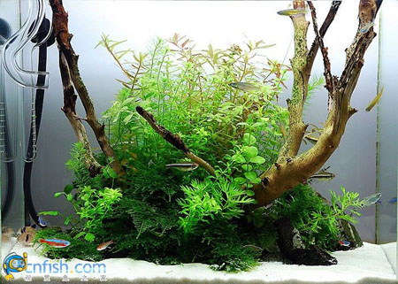 �������쾰��ʦ������֮�� 6