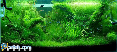 �������쾰��ʦ������֮�� 6