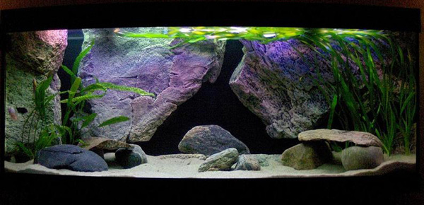 �����������ֿ��׽̳�֮�쾰ƪ