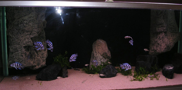 �����������ֿ��׽̳�֮�쾰ƪ