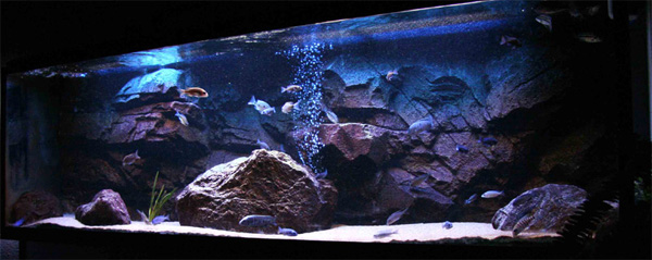 �����������ֿ��׽̳�֮�쾰ƪ