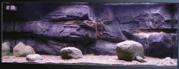 �����������ֿ��׽̳�֮�쾰ƪ