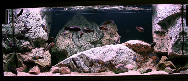 �����������ֿ��׽̳�֮�쾰ƪ