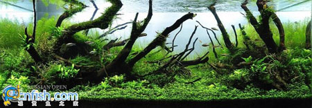 �������쾰��ʦ������֮�� 7