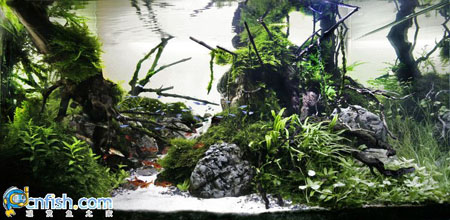 �������쾰��ʦ������֮�� 7