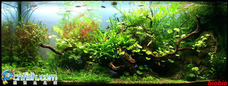 �������쾰��ʦ������֮�� 7