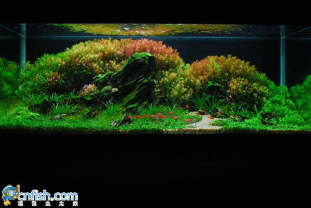 �������쾰��ʦ������֮�� 7