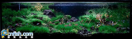 �������쾰��ʦ������֮�� 7