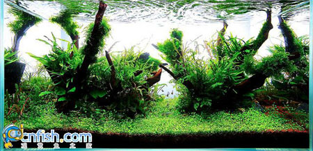 �������쾰��ʦ������֮�� 7