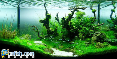 �������쾰��ʦ������֮�� 7