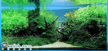 �������쾰��ʦ������֮�� 7