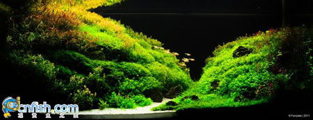 �������쾰��ʦ������֮�� 7