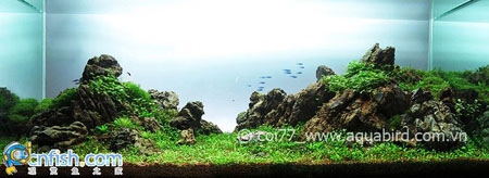 �������쾰��ʦ������֮�� 7