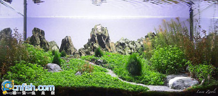 �������쾰��ʦ������֮�� 7