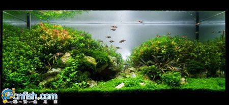 �������쾰��ʦ������֮�� 7