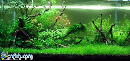 �������쾰��ʦ������֮�� 7