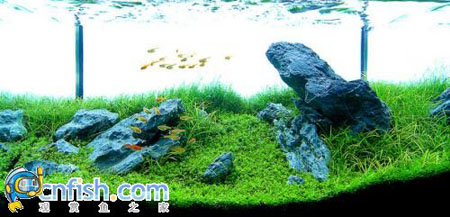 �������쾰��ʦ������֮�� 7