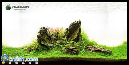 �������쾰��ʦ������֮�� 7