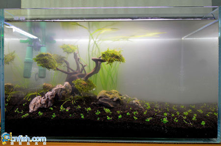 ˮ���쾰�ײ����̳�