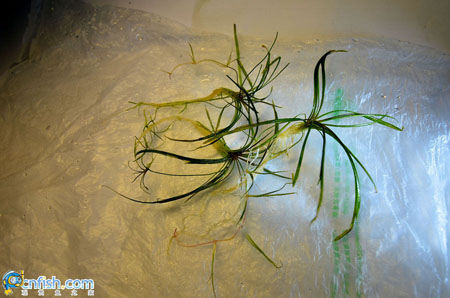 ˮ���쾰�ײ����̳�