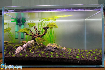 ˮ���쾰�ײ����̳�