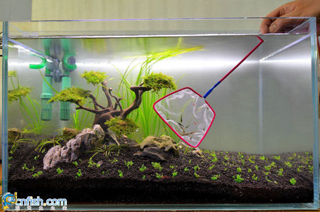 ˮ���쾰�ײ����̳�