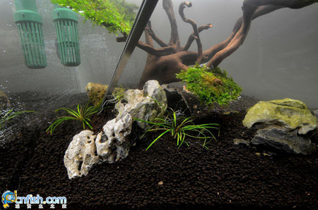 ˮ���쾰�ײ����̳�