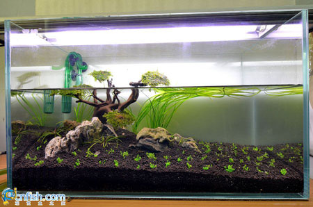 ˮ���쾰�ײ����̳�