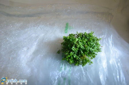 ˮ���쾰�ײ����̳�