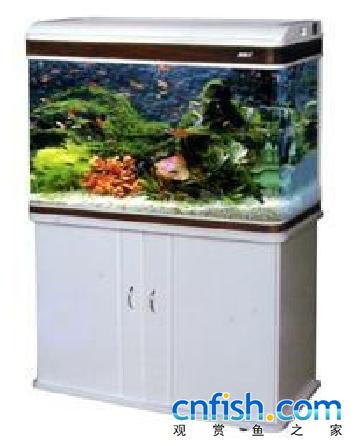 ����������ο�����-����ƪ