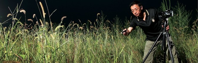 夜幕下的丛林进发 3只电筒锁定昆虫