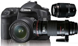 夜幕下的丛林进发 3只电筒锁定昆虫