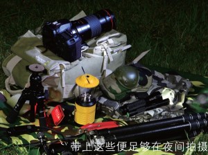 夜幕下的丛林进发 3只电筒锁定昆虫
