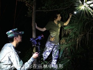 夜幕下的丛林进发 3只电筒锁定昆虫