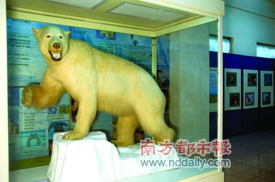 沉睡17年再度鹣鲽并行