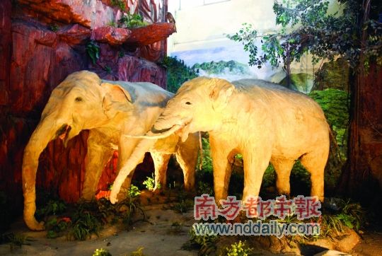 沉睡17年再度鹣鲽并行