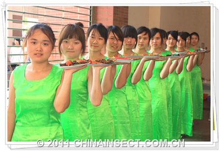 长江大学/伴随着优美舞蹈《梁祝化蝶》，“昆虫宴”开席了。